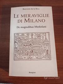 le meraviglie di Milano 