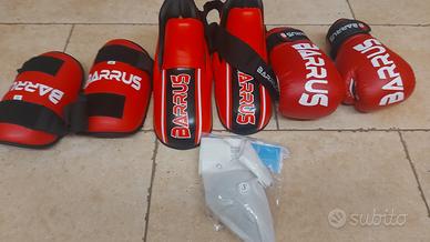 kit completo guantoni box/kik bosching 