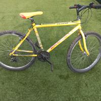 MOUNTAIN BIKE BOTTECCHIA YANKEE 883 R