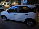 fiat-panda-1-0-firefly-s-s-hybrid