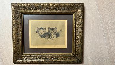 Incisione gatti Meta Plückebaum