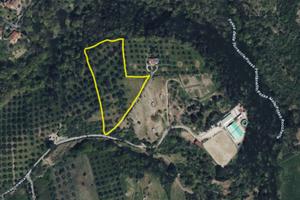 Terreno Via della Mola, Monte Rocchette, Sacrofano