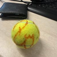 Pallina autografata Federer