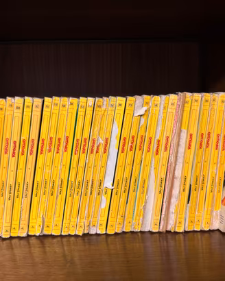 Topolino anni 60-70-80 | 335 num compreso nr 1000
