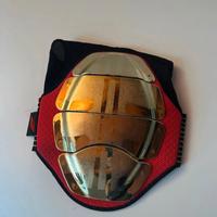 Zandonà paraschiena