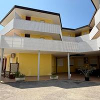 Appartamento bilocale terrazzato