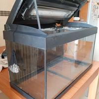 Acquario 60l + lampada EASYRIVER 15W