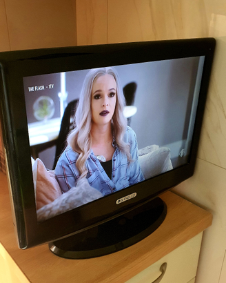 Tv piccola lcd shinelco 19 pollici