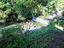 Immagine 25