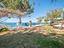 Immagine 12