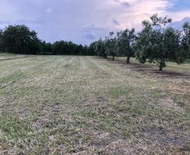 Terreno con acqua potabile