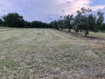 Terreno con acqua potabile