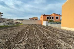 Terreno Edificabile Codrongianos