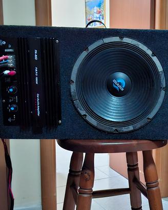 subwoofer auto