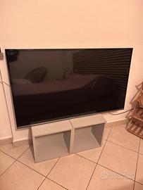 TV 48 pollici Panasonic