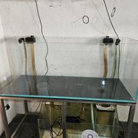 Acquario marino