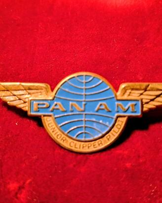 Due rara spille compagnie aeree americane anni 60