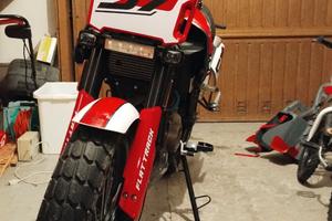 Fb Mondial Flat Track 125 Rossa