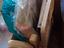 Immagine 3