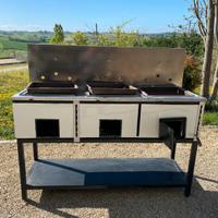 Barbecue professionale
