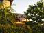 Immagine 20