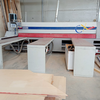 Casadei CX 43 Easy Macchina sezionatrice per legno