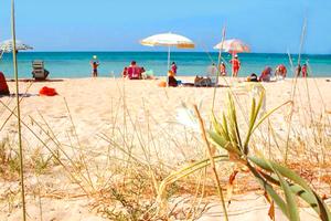 29 Agosto 5 Settembre a 150 mt dal mare in SALENTO