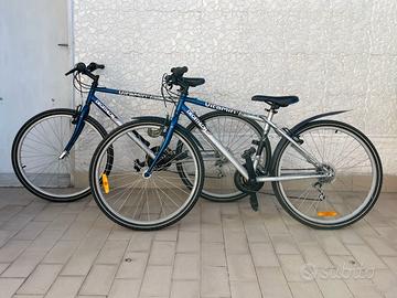 2 biciclette (anche separate)