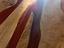 Immagine 11