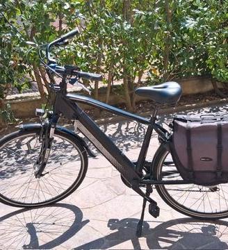 bici elettrica