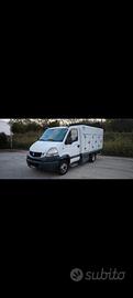 Renault mascotte trasporto surgelati ATP 03/2030
