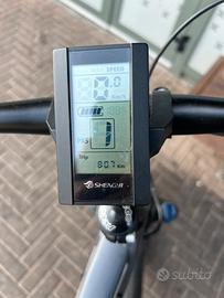 Bicicletta con pedalata assistita