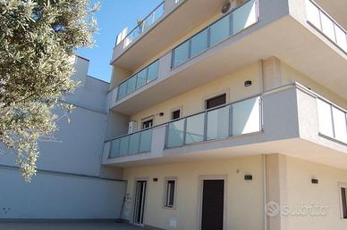 Carnazza canalicchio elegante trivani