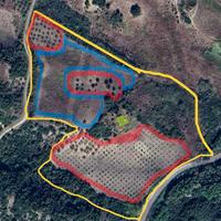 Terreno e fabbricato grezzo