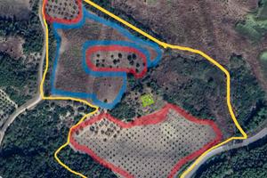 Terreno e fabbricato grezzo