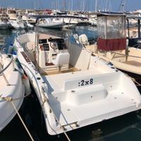 Cad 25 entro fuoribordo