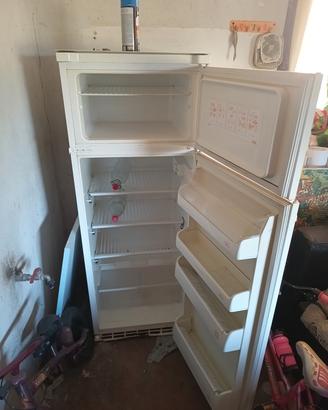 frigo incasso