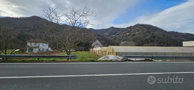 TERRENO A SAN COLOMBANO CERTENOLI