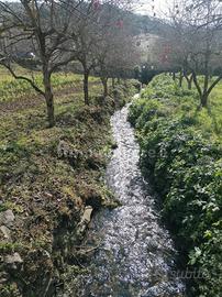 Terreno edificabile zona calamone