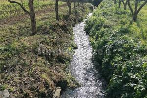 Terreno edificabile zona calamone