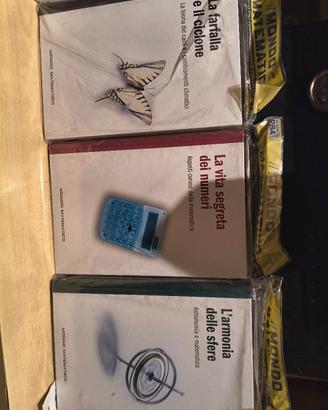 Lotto 20 Libri Collana "Mondo Matematico" RBA Desc