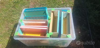 trappole polline in plastica quarti 