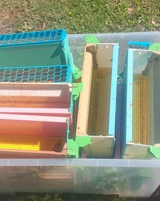 trappole polline in plastica quarti 