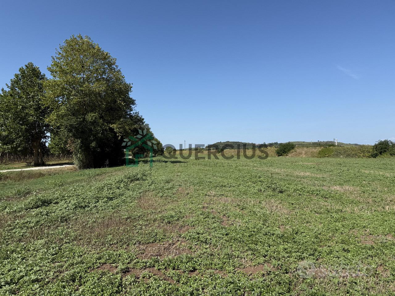 Terreno a San Bonifacio (VR) - Vista 5