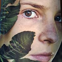 La solitudine dei numeri primi