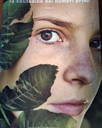 La solitudine dei numeri primi