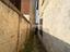 Immagine 7