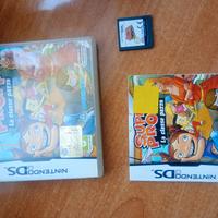 gioco Nintendo DS