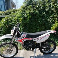 Beta RR 50