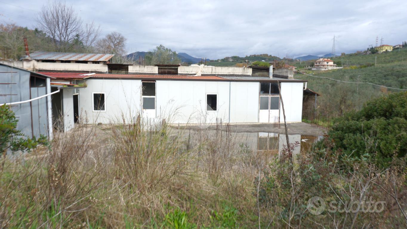 TER. AGRICOLO A MONTECORVINO PUGLIANO - Vista 5